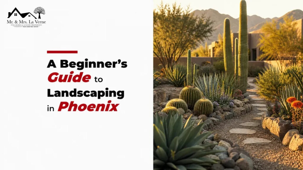 A Beginner’s Guide to Landscaping in Phoenix